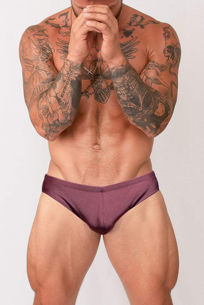 ALSACE BRIEF