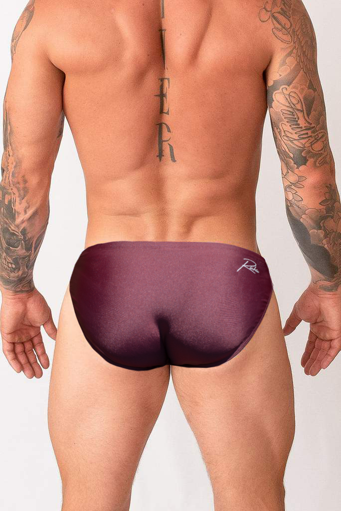 ALSACE BRIEF